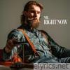 Mr. Right Now - Single