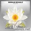 Markus Schulz Presents in Bloom - EP