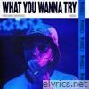 What You Wanna Try (Kooldrink (Amapiano) Remix) - Single