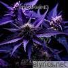 Asteroid (Purple Cannabis Remix) [feat. House of Frankenstein] - Single