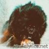 Don Mastiff - Single