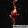 In Flames (Radio Edit) - Single