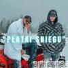 PŁATKI SNIEGU (feat. Rizi Beizeti) - Single