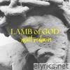 Lamb of God