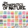 Matthew Chaim - The Mathematics of Nature