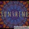 Sunshine (feat. Vance DeGeneres) - Single