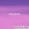 I Know It Now - Single