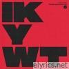 I Know You Want To - Single