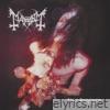 Mayhem lyrics
