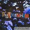Paumanhin - Single