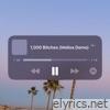 1000 Bitches - Single