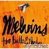 The Bulls & the Bees / Electroretard