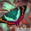 Somos como mariposas que vuelan durante un día, pensando que lo haremos por siempre - EP