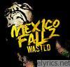 Mexicofallz - Wasted