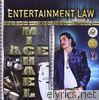 Michael Ace - Entertainment Law, Vol. 1
