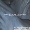 Beautiful Reason - Single