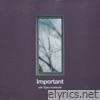 Important (with Taylor Goldsmith) - Single