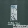 Spitting Image (with Andrew McMahon in the Wilderness) - Single