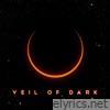 Veil of Dark - Single