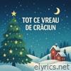 Tot Ce Vreau De Crăciun - Single