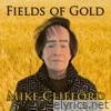 Fields of Gold - Single