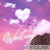 Waiting - Single