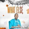 What Else - Single