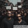 Shavhelani Hayani / #BlackLivesMatter (feat. Mizo Phyll) - Single