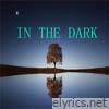 In the Dark - Single