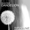 Dandelion - EP