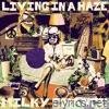 Milky Chance - Living in a Haze