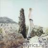 Les renforts - Single