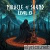 Miracle Of Sound lyrics