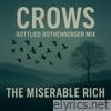 Crows (Gottlieb Rothenberger Mix) - Single