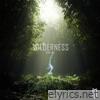 Wilderness (feat. KC) - Single