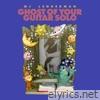 Ghost of Your Guitar Solo