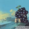 Moby Grape - Wow (Bonus Track Version)