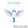 Bluebird - Single