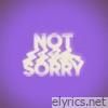 Not Sorry (feat. Jill Scott & Rapsody) - Single