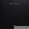 Skyfall - Single