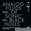Analog Fluids of Sonic Black Holes: Passing of Time (feat. Wooden Elephant, Beethoven Orchester Bonn, Dirk Kaftan & Ian Anderson) [Single Edit] - Single