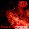 Morbid Angel - Blessed Are the Sick