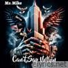 Can't Say Nothin - Single