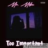 Too Important - Single