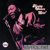 Muddy Waters: Live (At Mr. Kelly's) [Reissue]