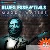 Muddy Waters - Blues Essentials - Muddy Waters The Complete Collection (Digitally Remastered)