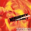 Mudhoney - Live At El Sol