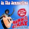In the Summertime (A Taste of Latin Mix) - Single