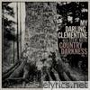 Country Darkness, Vol. 2 (feat. Steve Nieve) - EP