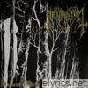 Ancient Howls of Dawning Fury